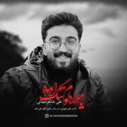 دانلود آهنگ جدید علی شاهرحمانی یا مولا دلوم تنگ اومده